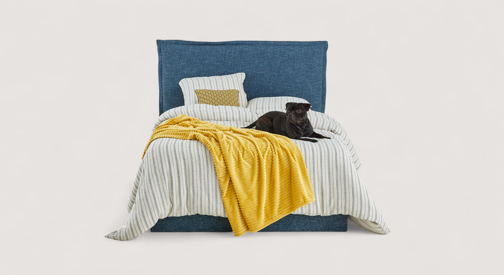 Lit coffre Elena bleu avec matelas relevé, montrant un espace de rangement contenant des couvertures et des chaussures